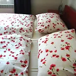 Σπίτι διακοπών Rainmuehle Mariánské Lázně