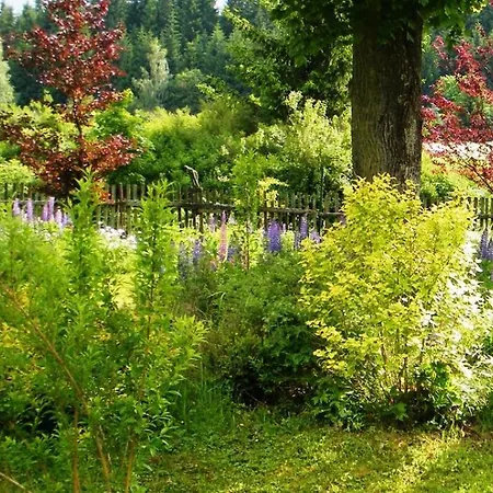 Rainmuehle Semesterbostad *