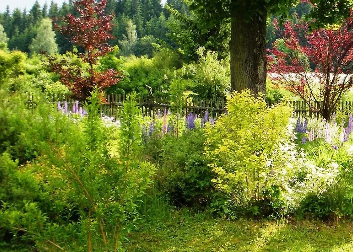 Rainmuehle Semesterbostad *