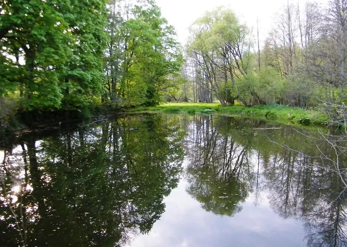 Rainmuehle * Mariánské Lázně