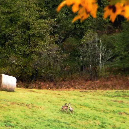 Casa vacanze Rainmuehle Mariánské Lázně