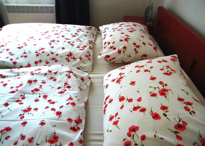 Prázdninový dům Rainmuehle Mariánské Lázně