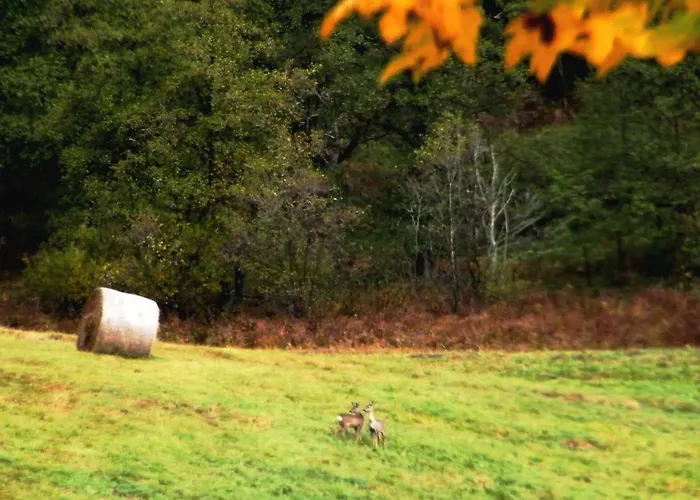 Prázdninový dům Rainmuehle Mariánské Lázně